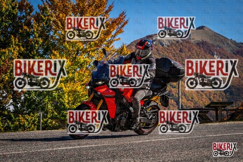 Forca d Acero 19-10-25 h12-13 1159