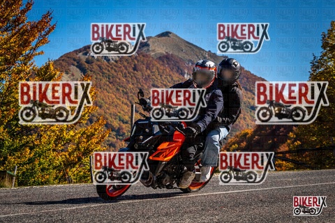 Forca d Acero 19-10-25 h12-13 1165