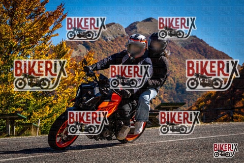 Forca d Acero 19-10-25 h12-13 1166