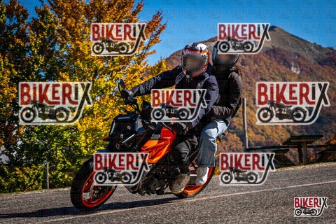 Forca d Acero 19-10-25 h12-13 1167