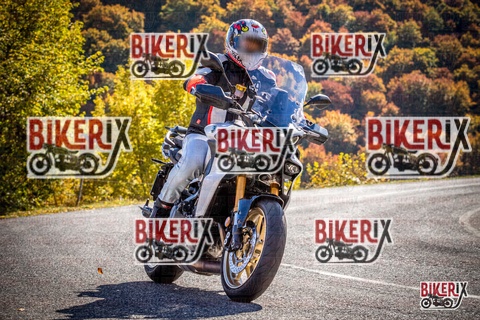 Forca d Acero 19-10-25 h12-13 1174