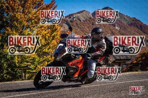 Forca d Acero 19-10-25 h12-14 1175