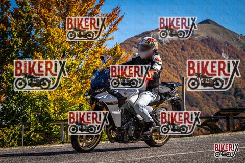 Forca d Acero 19-10-25 h12-14 1179