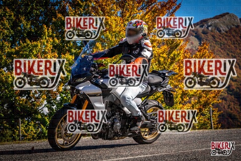 Forca d Acero 19-10-25 h12-14 1181