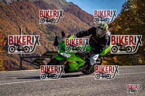 Forca d Acero 19-10-25 h12-14 1190