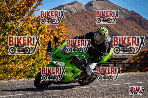 Forca d Acero 19-10-25 h12-14 1191