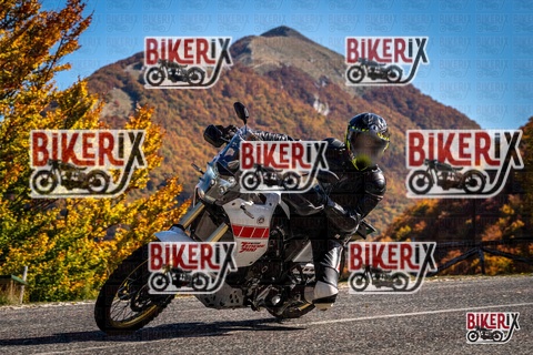 Forca d Acero 19-10-25 h12-14 1193