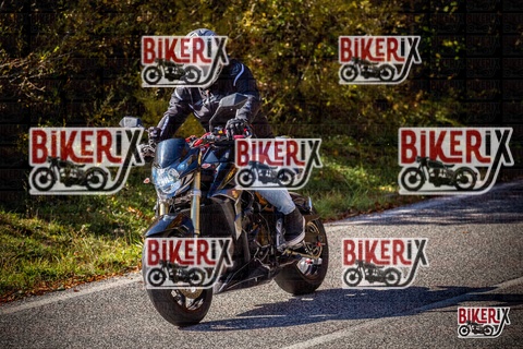 Forca d Acero 19-10-25 h12-14 1194