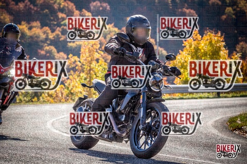 Forca d Acero 19-10-25 h12-15 1206