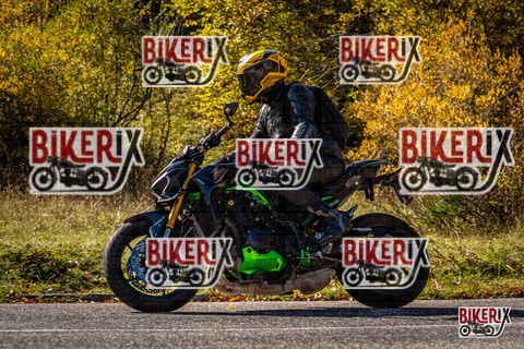 Forca d Acero 19-10-25 h12-19 1268