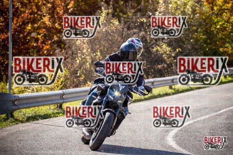 Forca d Acero 19-10-25 h12-19 1270