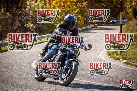 Forca d Acero 19-10-25 h12-19 1273