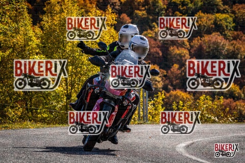 Forca d Acero 19-10-25 h12-22 1350