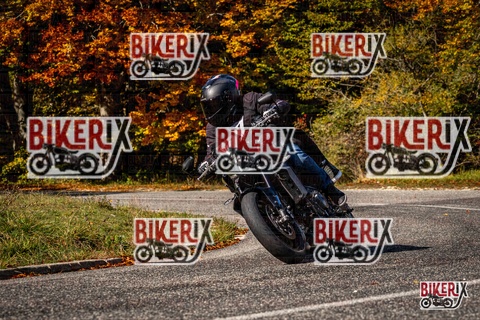 Forca d Acero 19-10-25 h12-25 1372