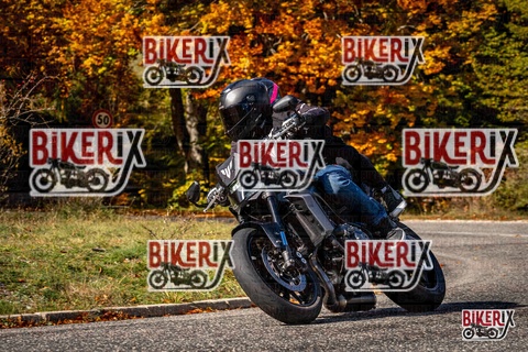 Forca d Acero 19-10-25 h12-25 1374