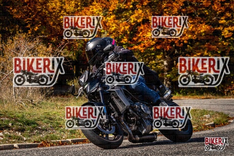 Forca d Acero 19-10-25 h12-25 1375