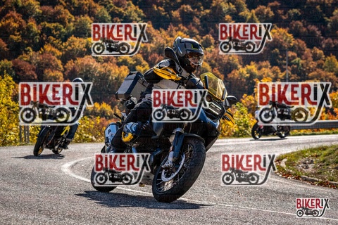 Forca d Acero 19-10-25 h12-28 1393