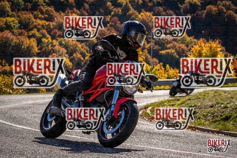 Forca d Acero 19-10-25 h12-28 1419