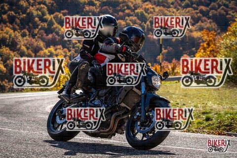 Forca d Acero 19-10-25 h12-28 1421