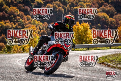 Forca d Acero 19-10-25 h12-32 1480