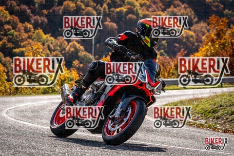 Forca d Acero 19-10-25 h12-32 1481