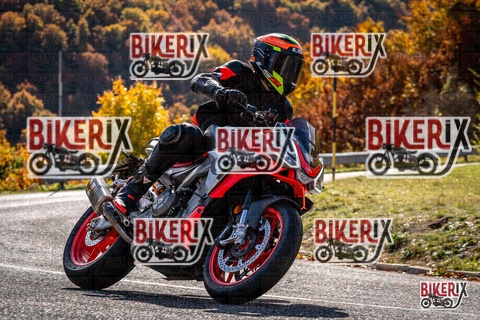 Forca d Acero 19-10-25 h12-32 1482