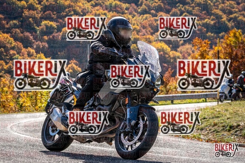 Forca d Acero 19-10-25 h12-32 1504