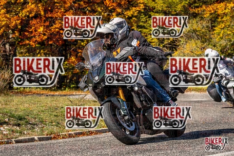 Forca d Acero 19-10-25 h12-38 1575