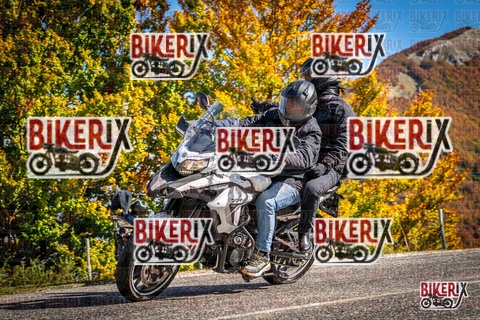 Forca d Acero 19-10-25 h13-04 2094