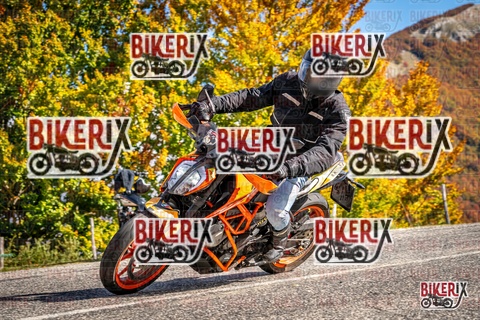 Forca d Acero 19-10-25 h13-05 2184