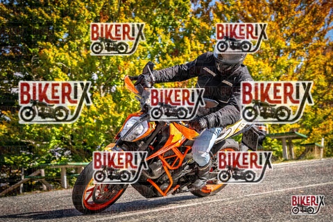 Forca d Acero 19-10-25 h13-05 2185