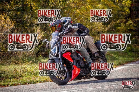 Forca d Acero 19-10-25 h13-09 2233