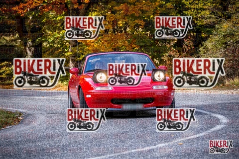 Forca d Acero 19-10-25 h13-10 2241