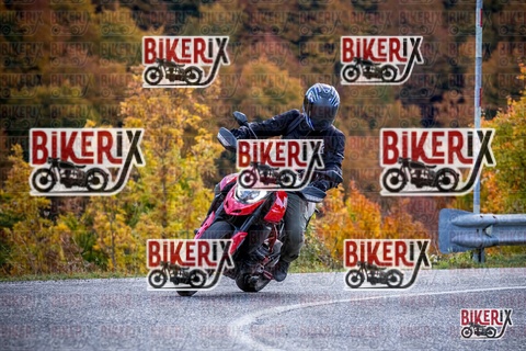 Forca d Acero 19-10-25 h13-11 2245