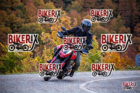 Forca d Acero 19-10-25 h13-11 2246