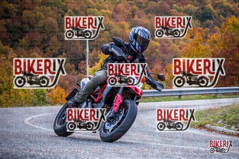 Forca d Acero 19-10-25 h13-11 2248