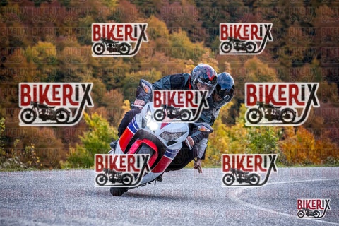 Forca d Acero 19-10-25 h13-11 2251