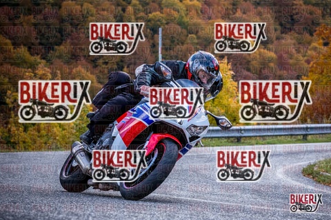 Forca d Acero 19-10-25 h13-11 2253