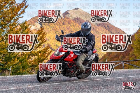 Forca d Acero 19-10-25 h13-11 2254