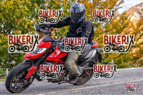 Forca d Acero 19-10-25 h13-11 2255