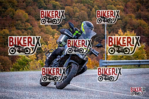 Forca d Acero 19-10-25 h13-11 2258