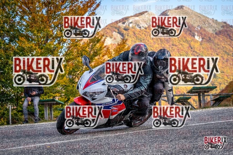 Forca d Acero 19-10-25 h13-11 2262