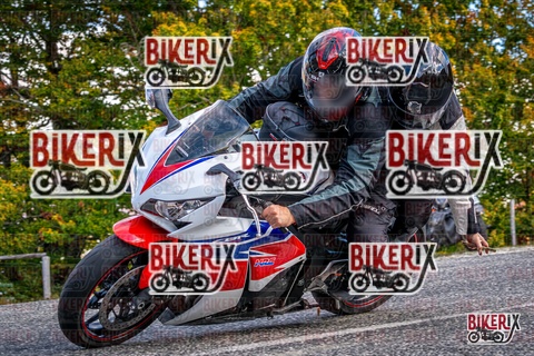 Forca d Acero 19-10-25 h13-11 2263