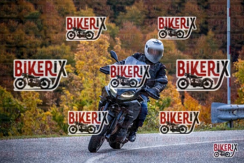 Forca d Acero 19-10-25 h13-11 2264