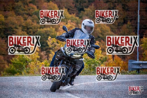 Forca d Acero 19-10-25 h13-11 2265