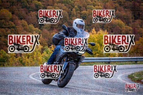 Forca d Acero 19-10-25 h13-11 2267