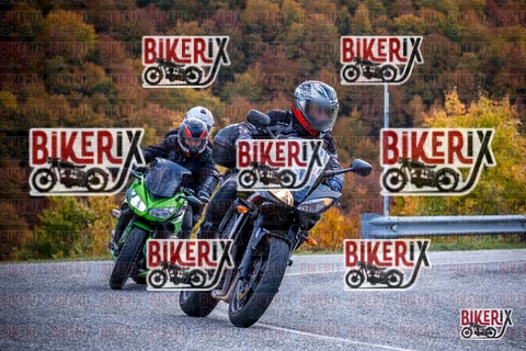 Forca d Acero 19-10-25 h13-12 2275