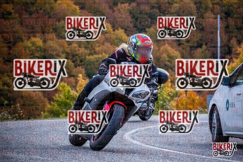 Forca d Acero 19-10-25 h13-12 2283