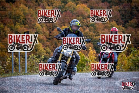 Forca d Acero 19-10-25 h13-12 2284