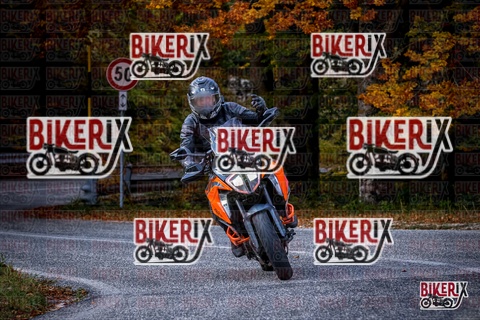 Forca d Acero 19-10-25 h13-12 2297